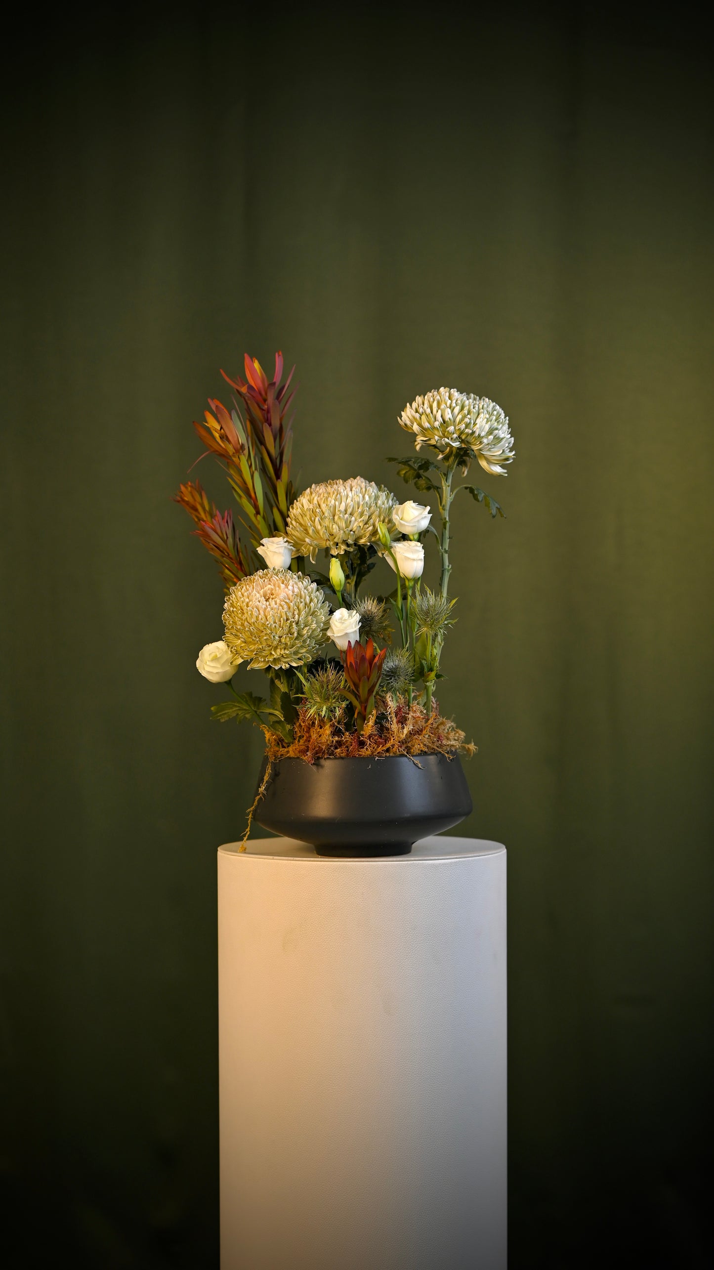 *PRE-ORDER* Garden Sketch