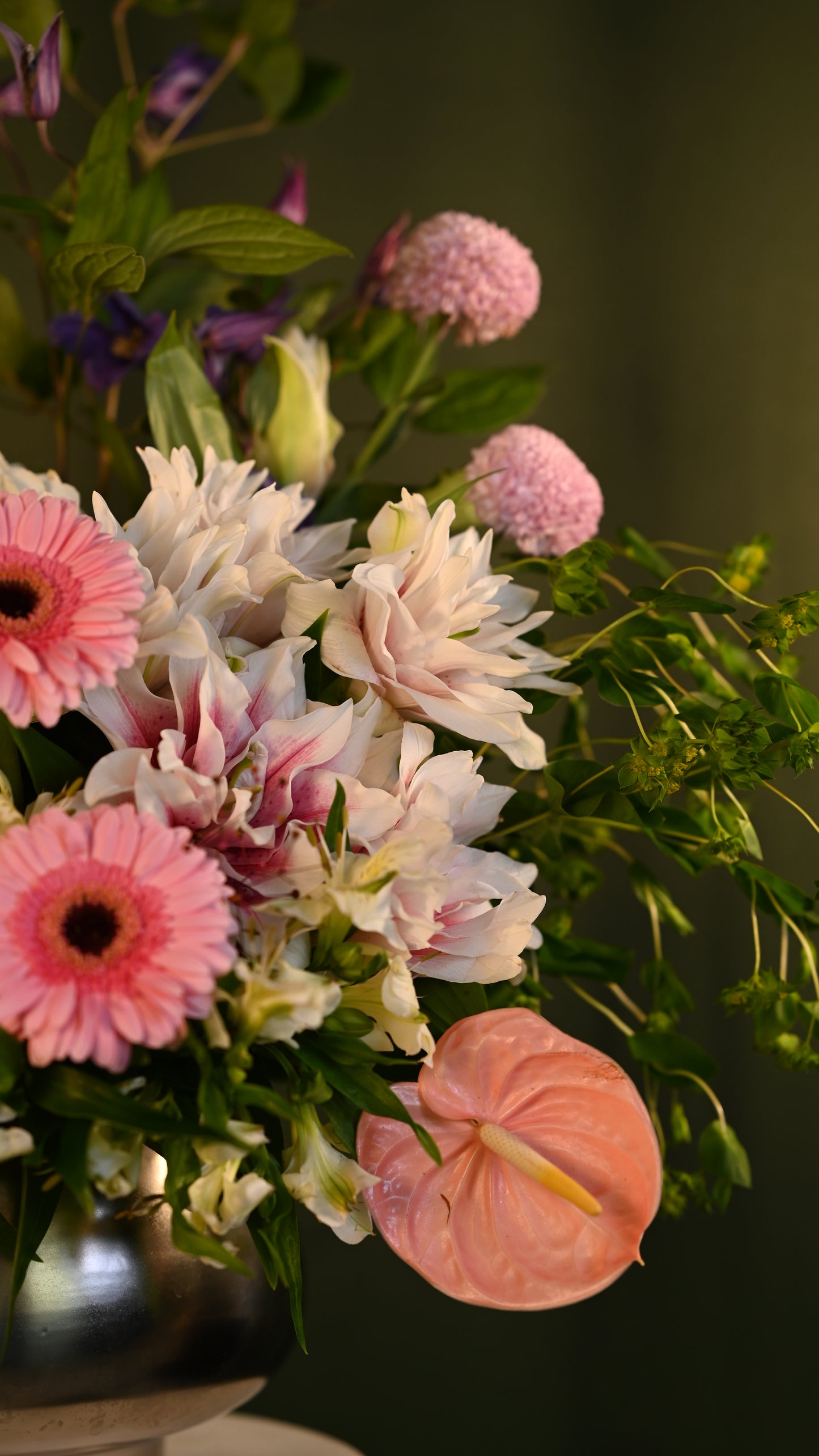 *PRE-ORDER* Blush Arcadia