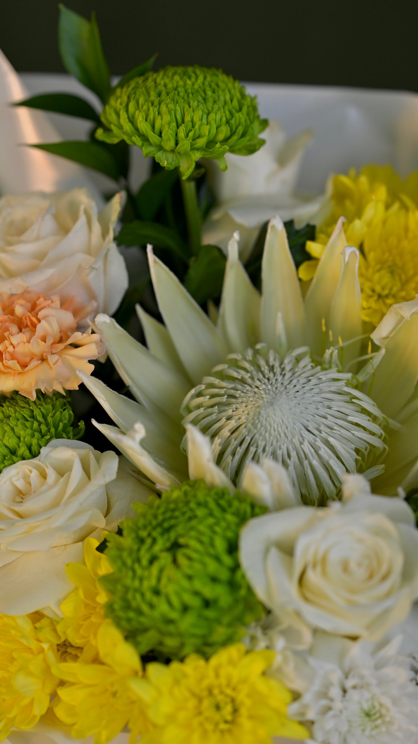 *PRE-ORDER* Meadow Glow