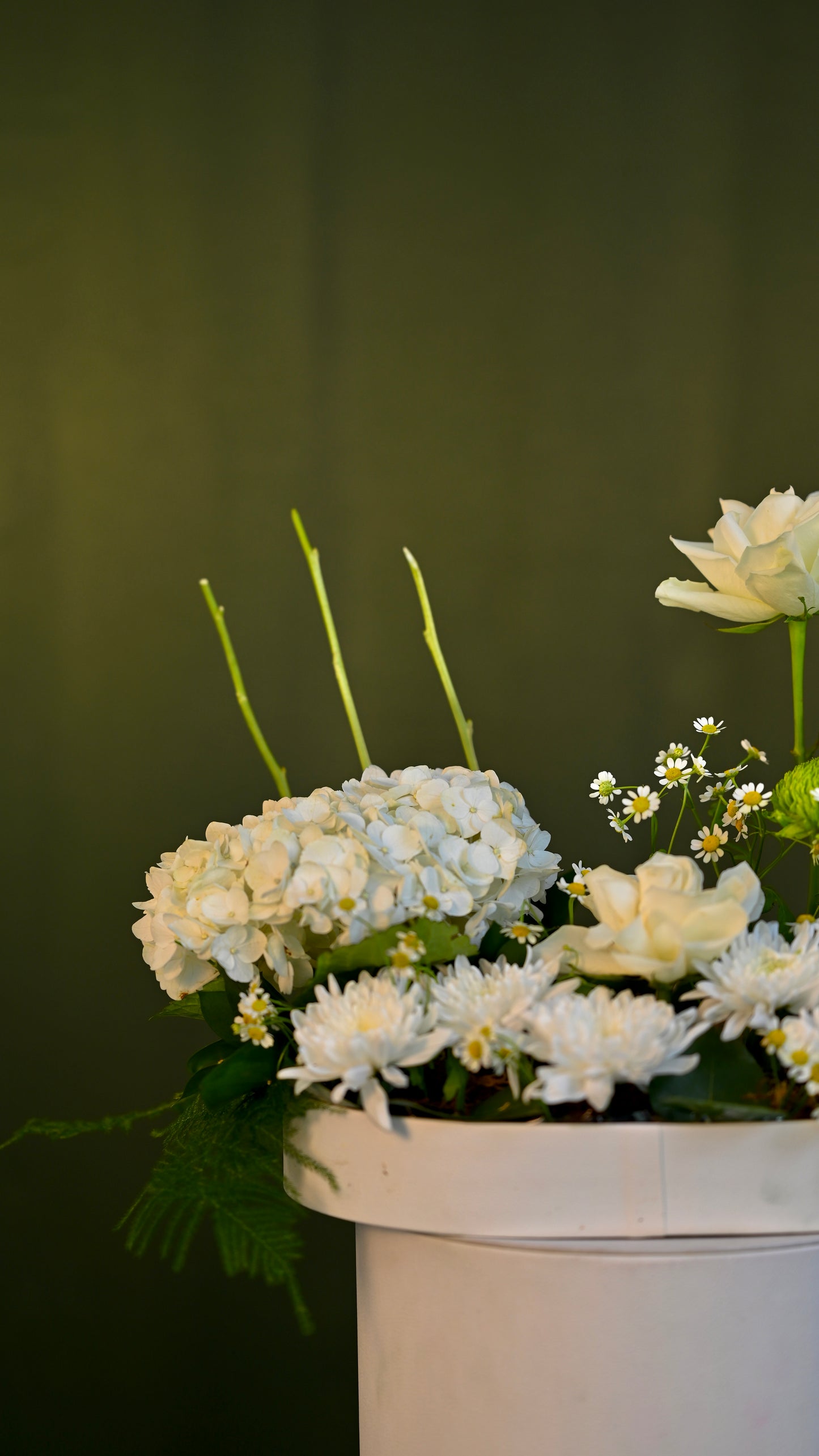 *PRE-ORDER* Luxe Layer