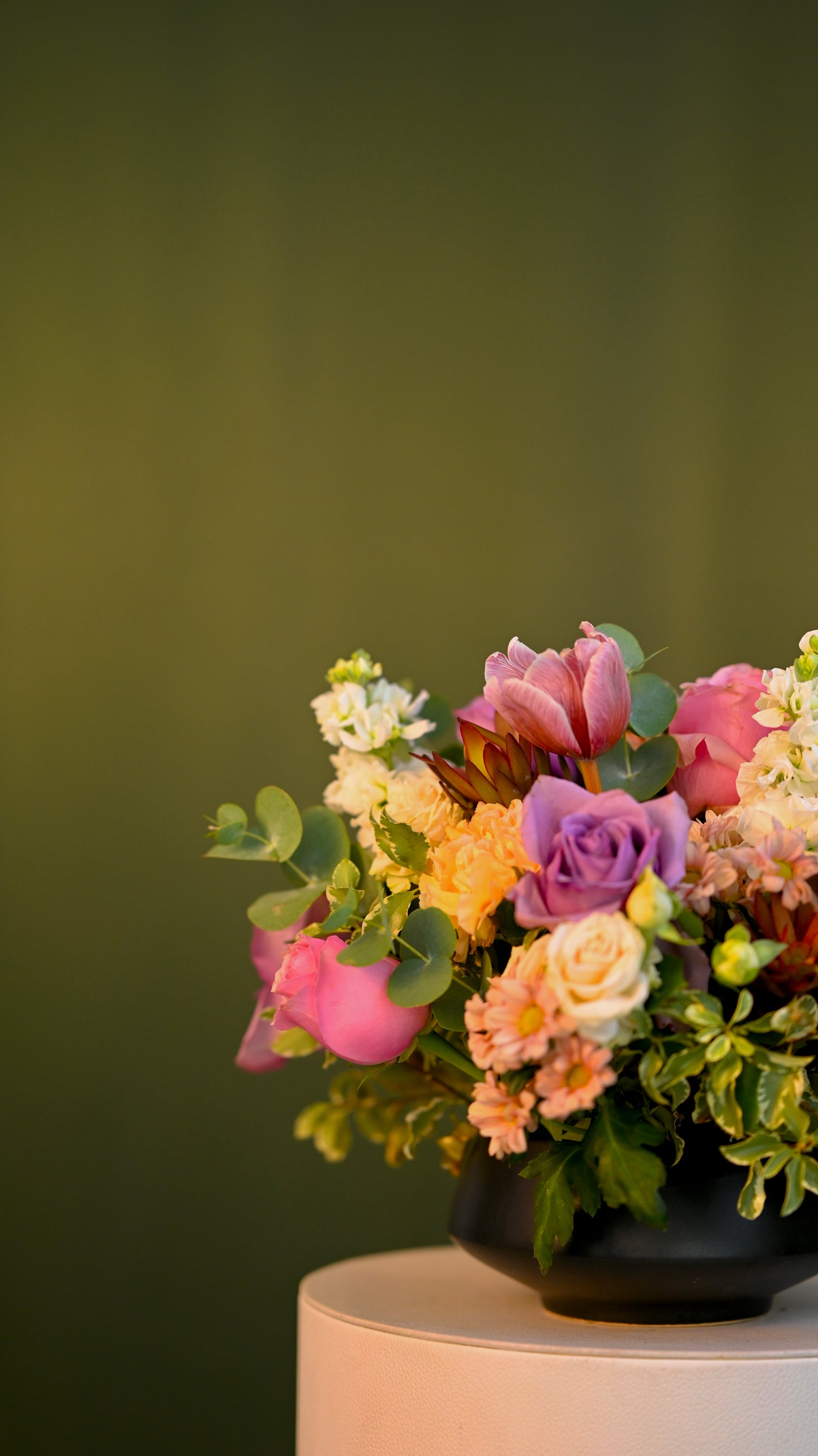 *PRE-ORDER* Fresh Verse