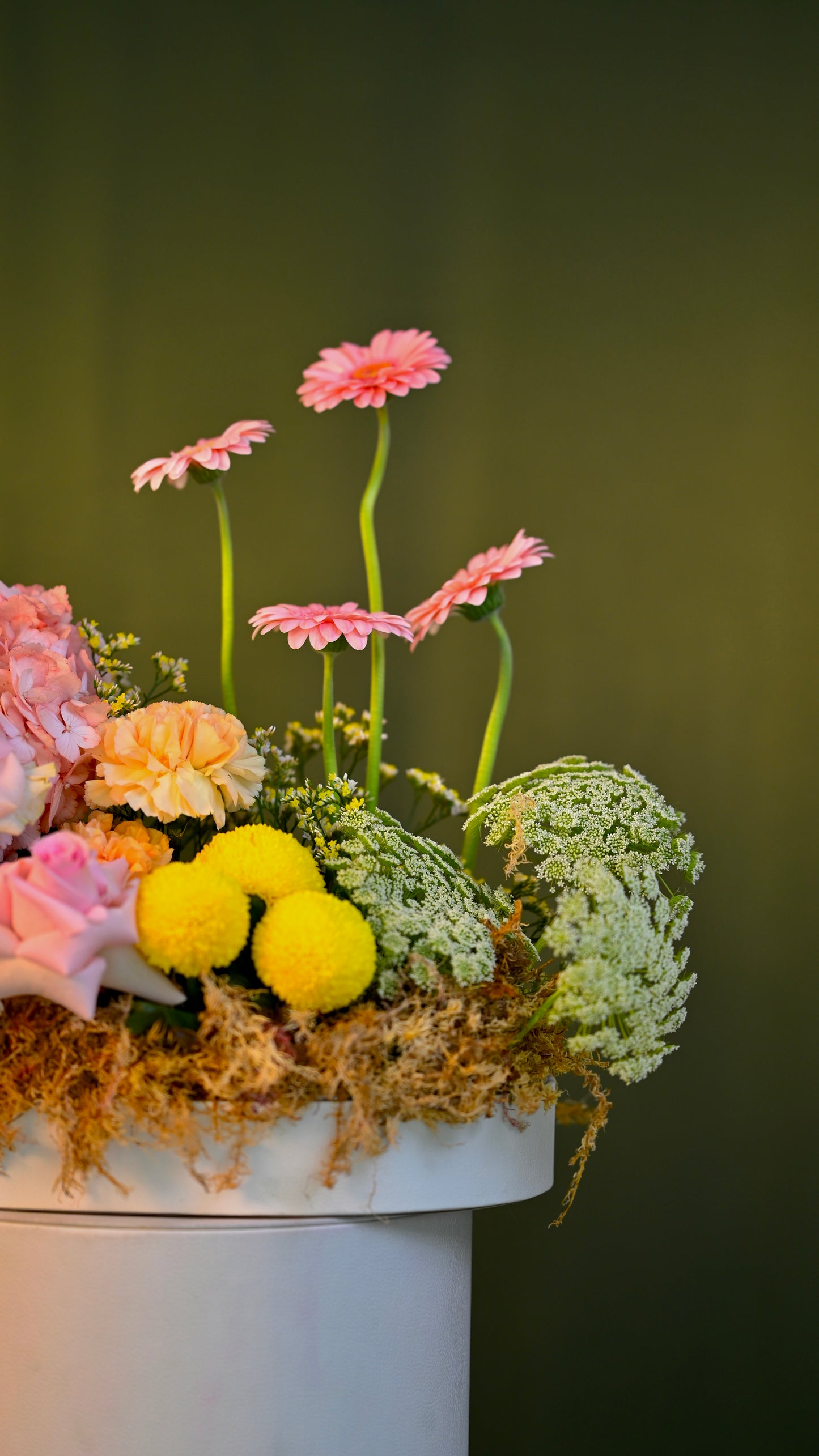 *PRE-ORDER* The Petal Spread