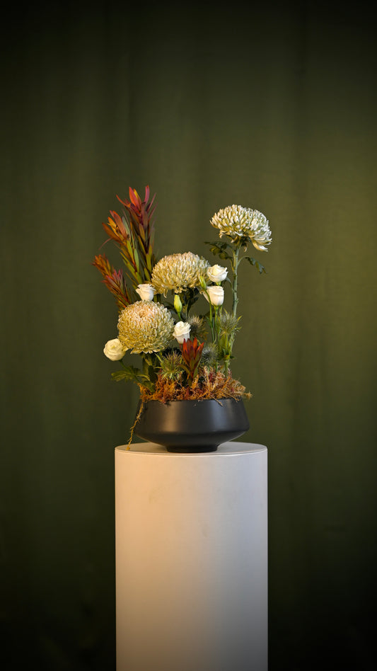 *PRE-ORDER* Garden Sketch