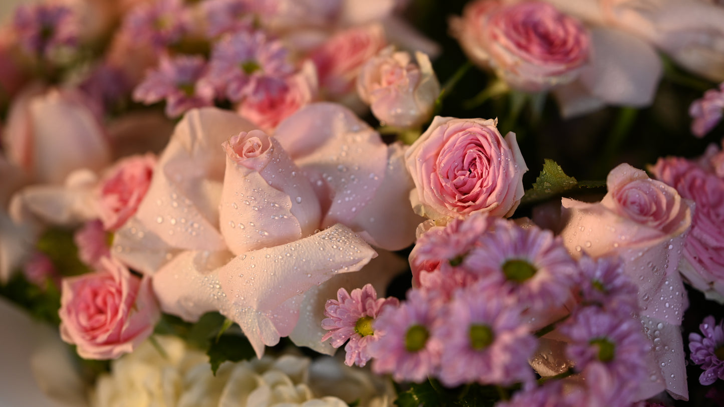 *PRE-ORDER* The Bloom Pocket