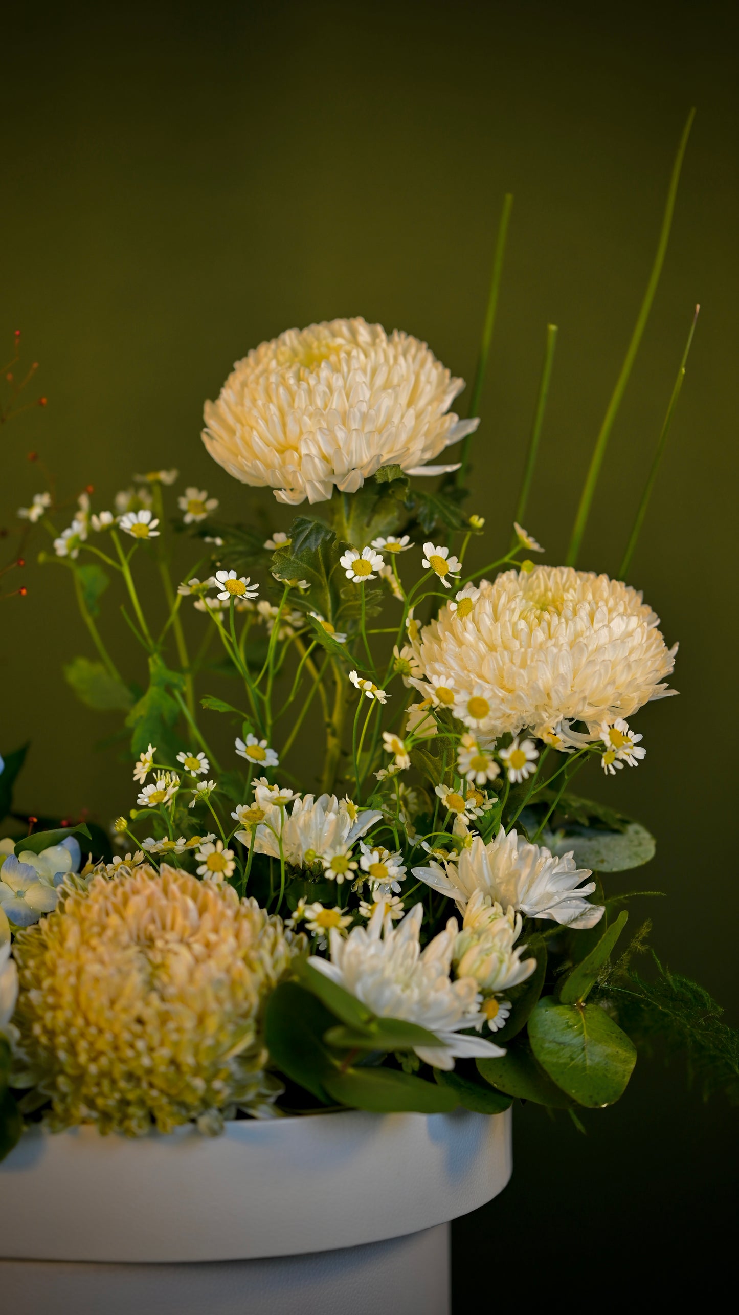 *PRE-ORDER* Blush Banquet