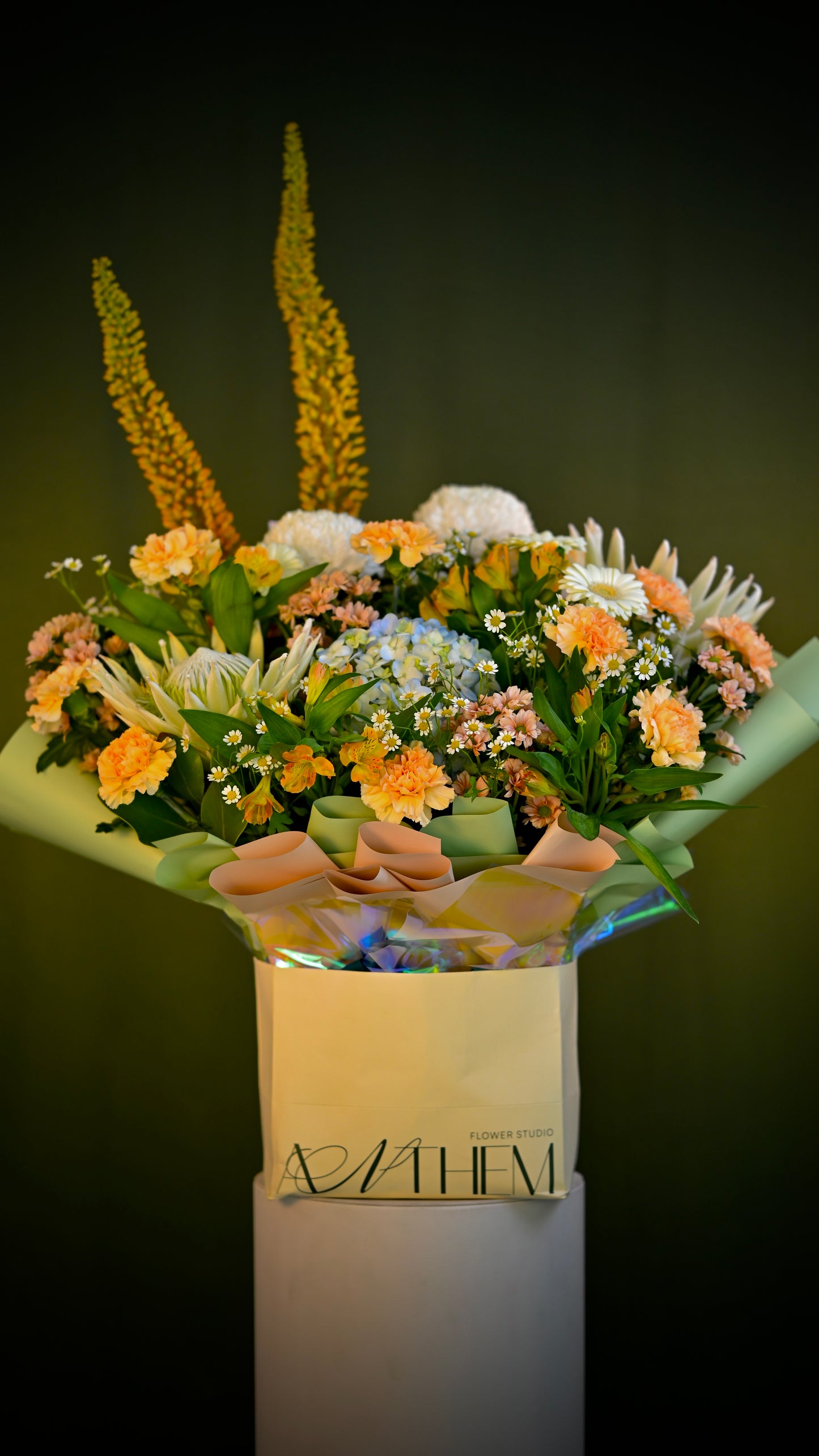 *PRE-ORDER* Blush Concerto