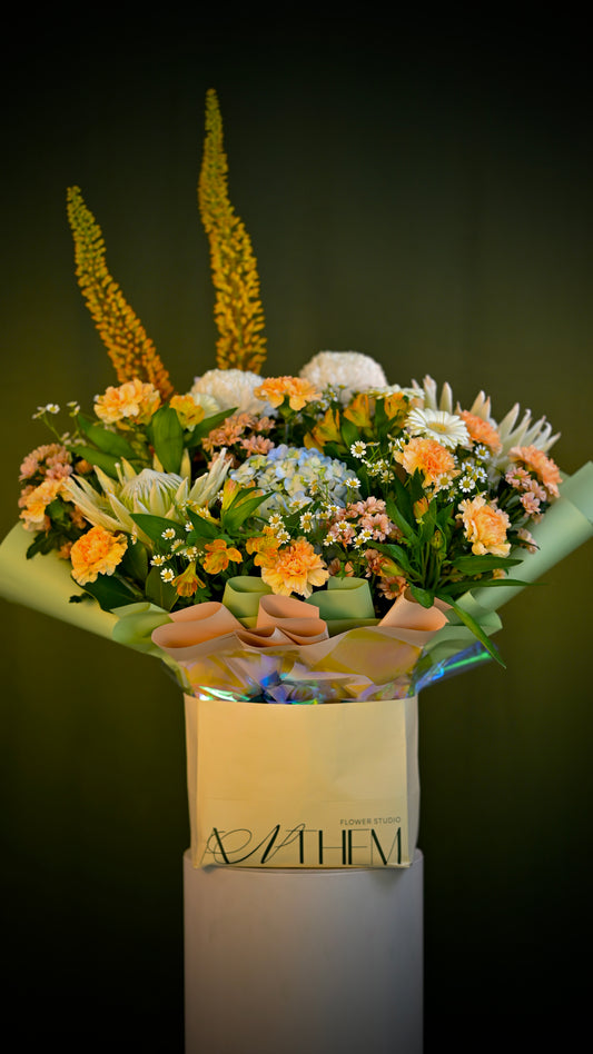 *PRE-ORDER* Blush Concerto