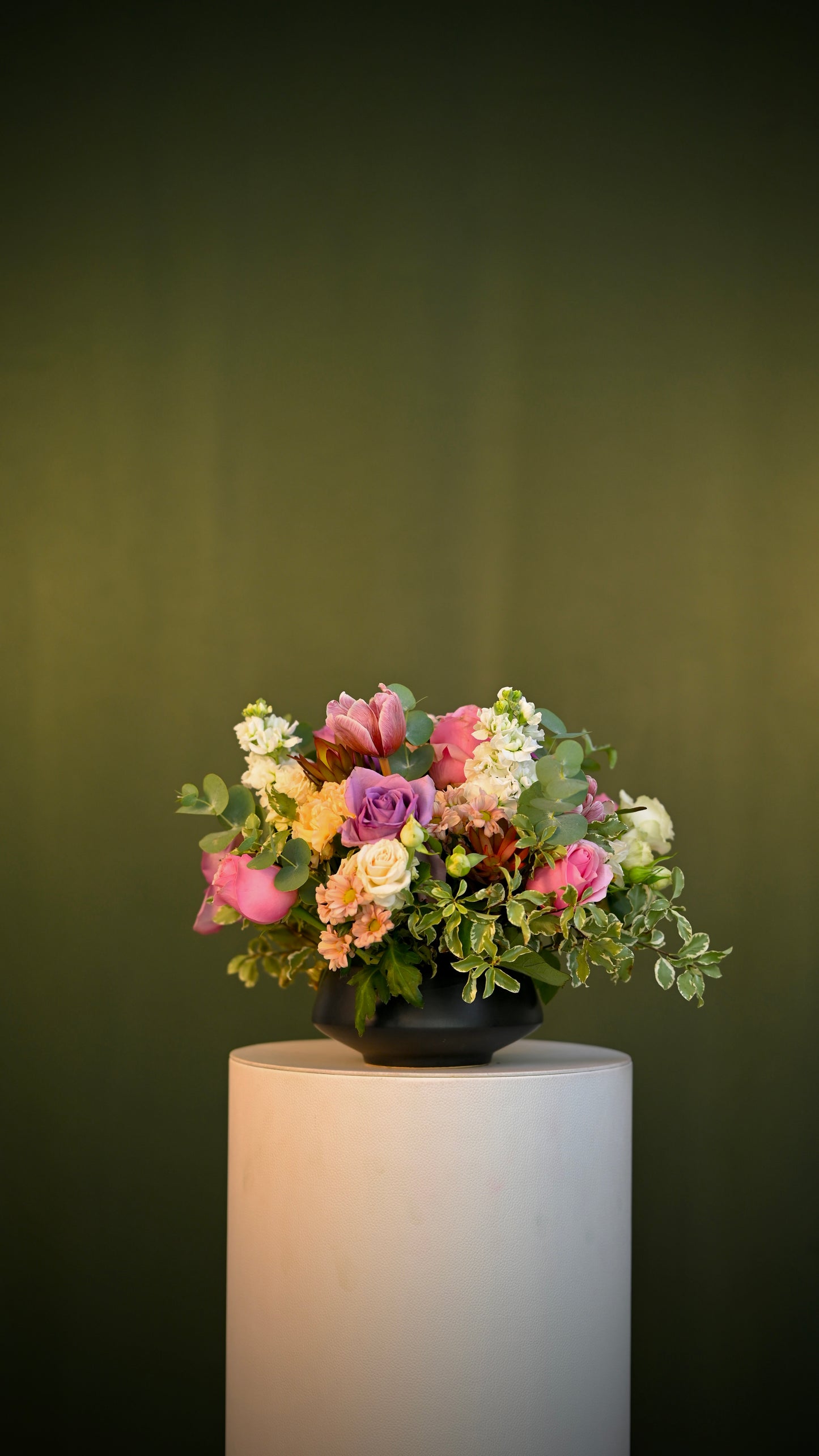 *PRE-ORDER* Fresh Verse