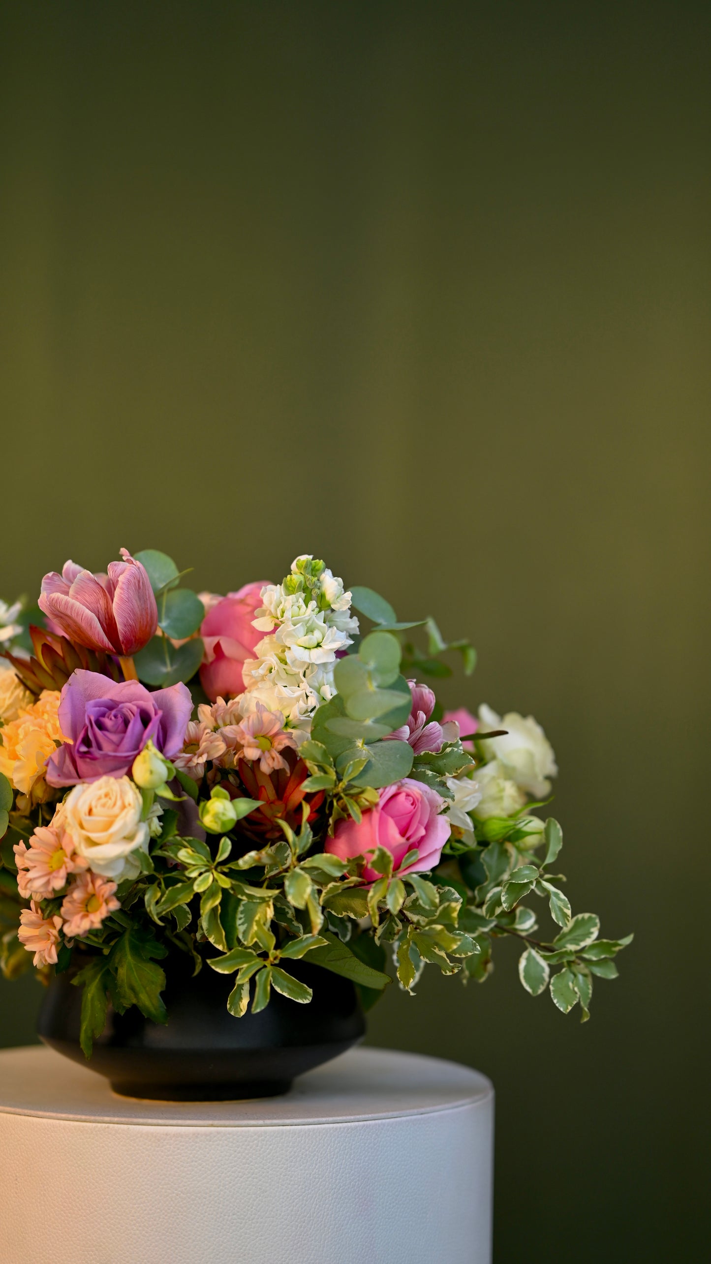 *PRE-ORDER* Fresh Verse