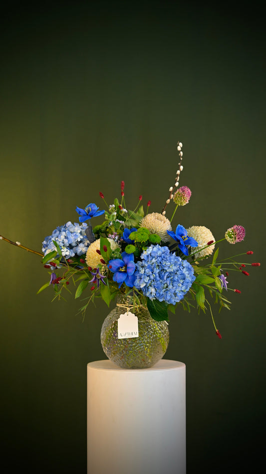 *PRE-ORDER* Midnight Anthem